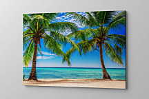 Obraz Kanárske ostrovy 1728